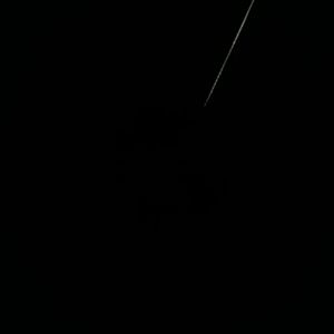 Meet your Posher, Wilhelmina